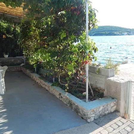 Shell * Rogoznica (Sibenik-Knin)