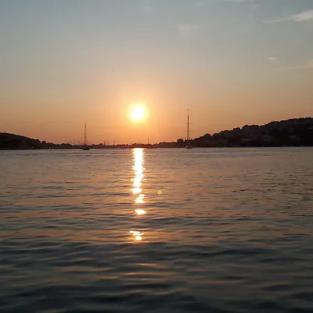 Shell * Rogoznica (Sibenik-Knin)