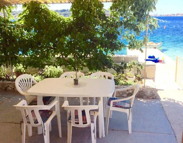 Shell 로고즈니차