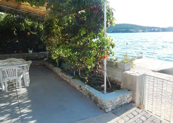 Shell * 로고즈니차