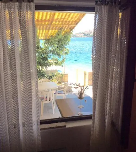 아파트 Shell 로고즈니차