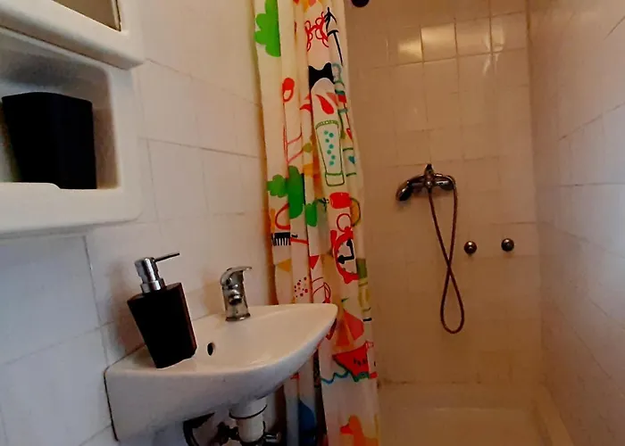 Shell * 로고즈니차