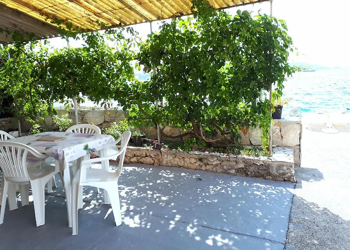 아파트 Shell 로고즈니차